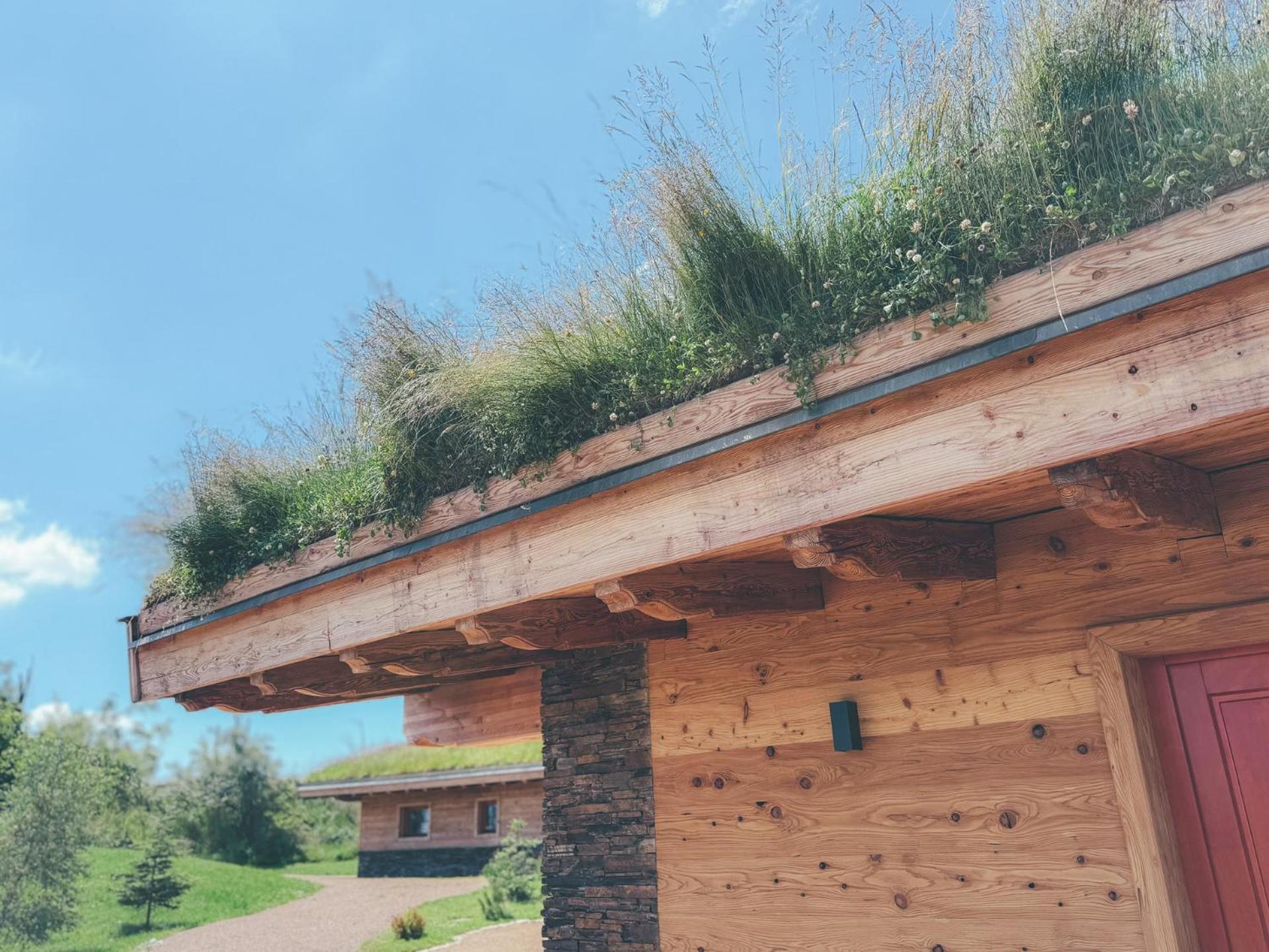 Chalets Resort Cínovec المظهر الخارجي الصورة