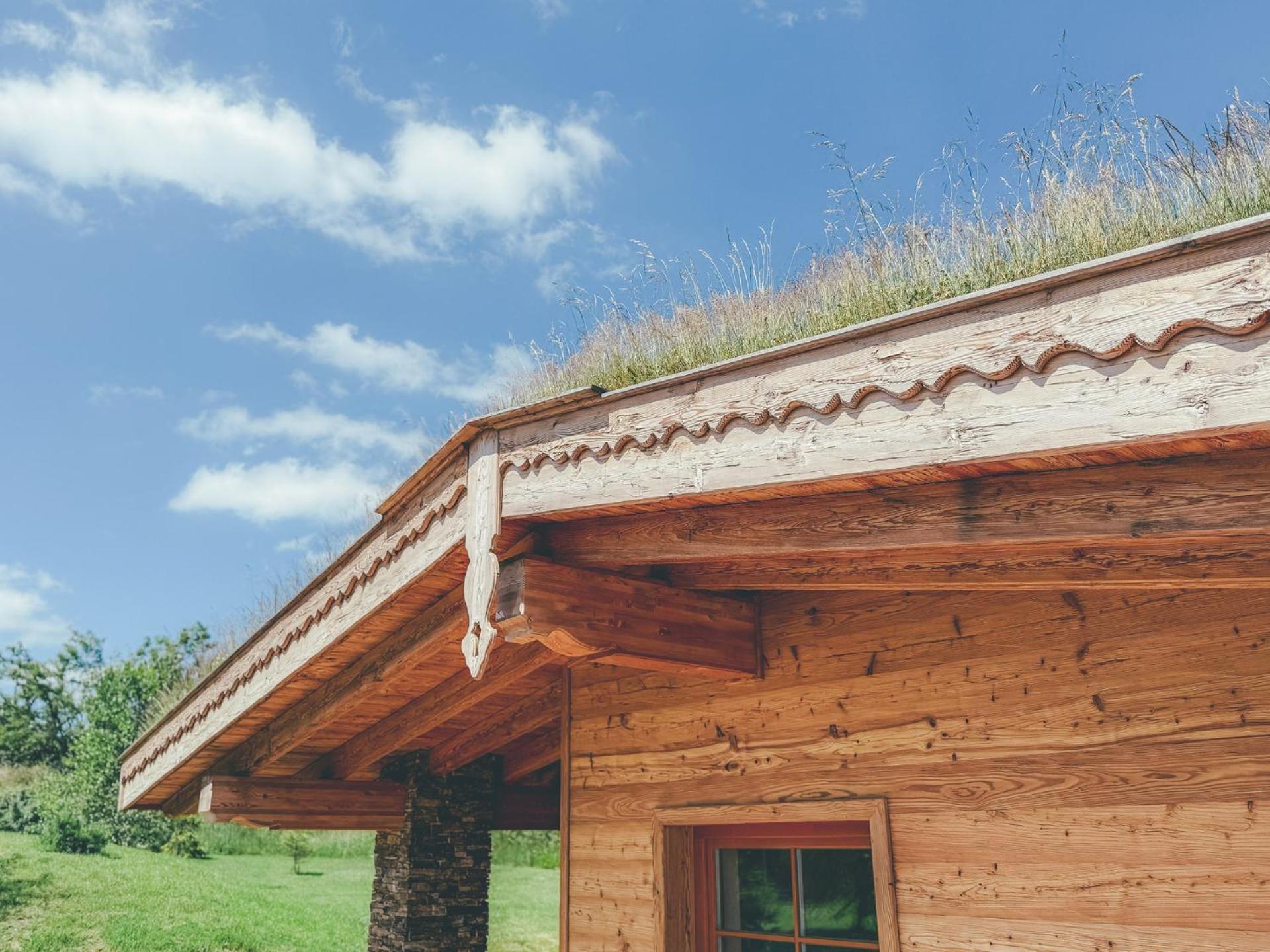 Chalets Resort Cínovec المظهر الخارجي الصورة